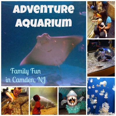 Fun For the Whole Family at Adventure Aquarium