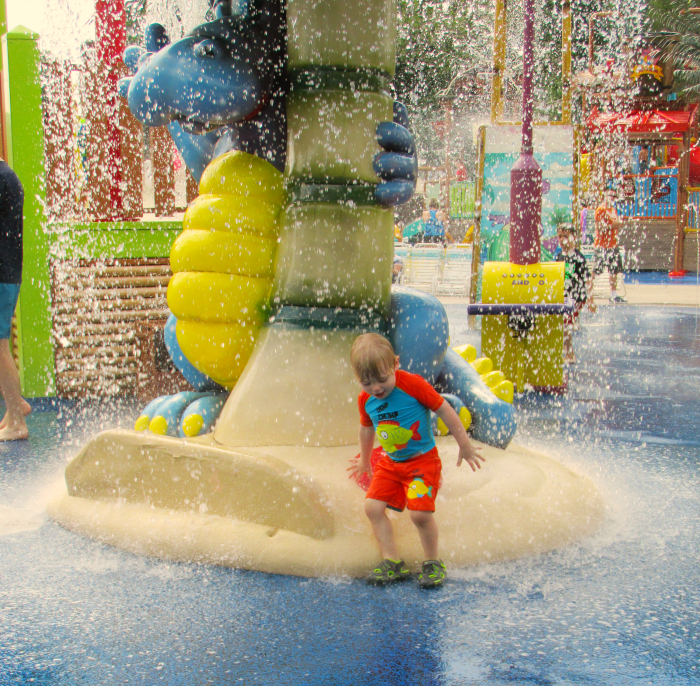 How to Save Money at Dutch Wonderland The Shirley Journey