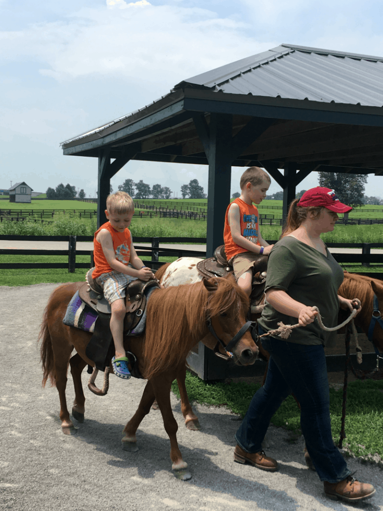 3 Days in Lexington with Little Kids The Shirley Journey