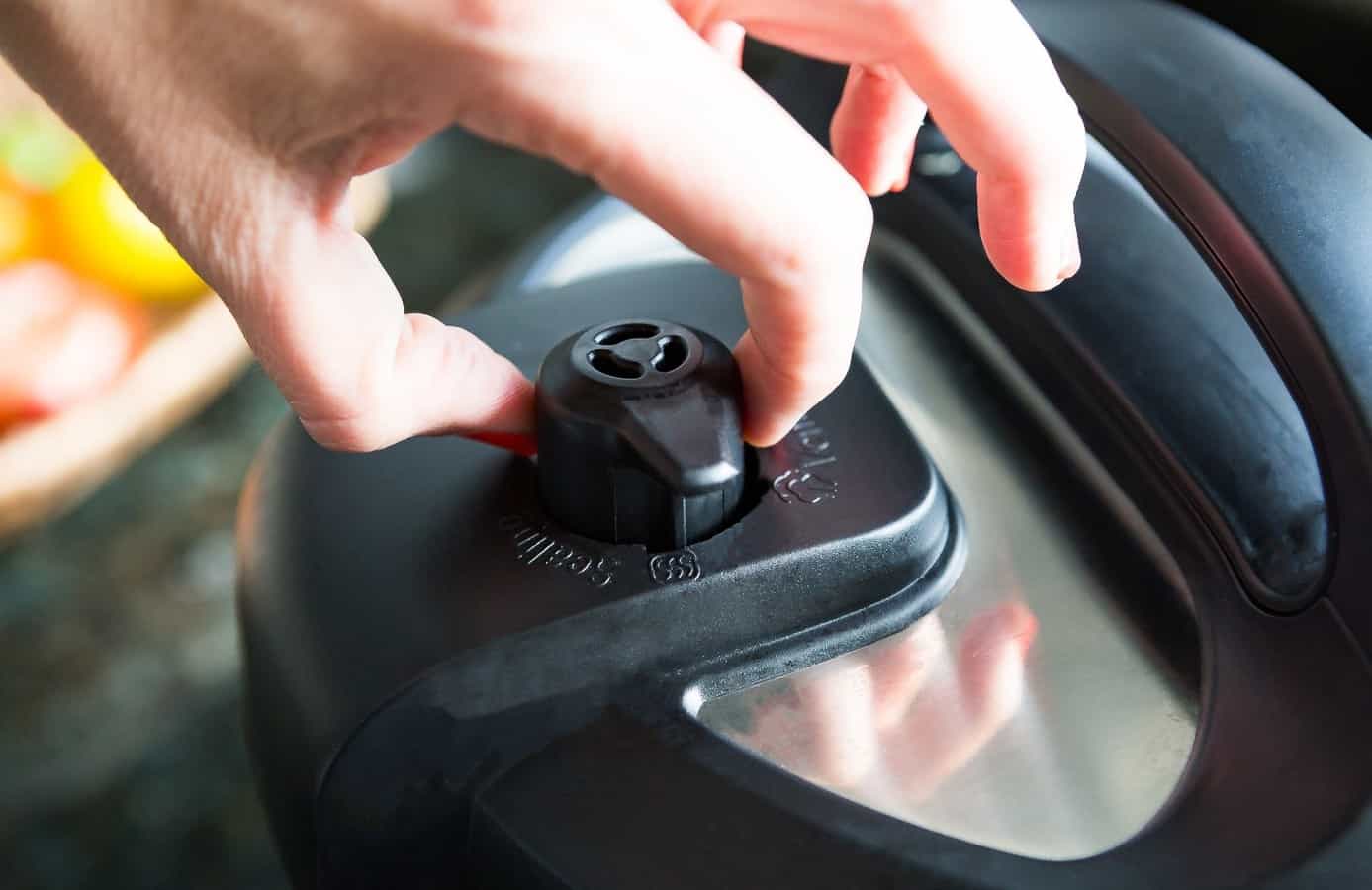 A Guide to the Instapot or Instant Pot The Shirley Journey