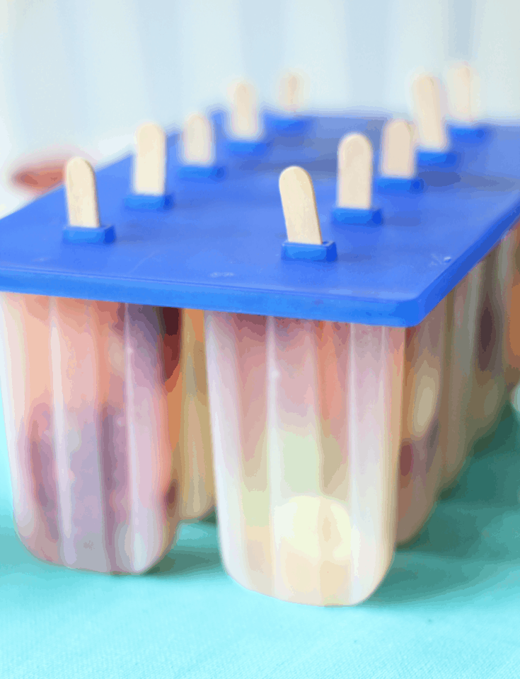 Easy Fruit Ice Pops The Shirley Journey