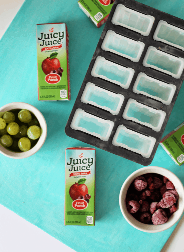 Easy Fruit Ice Pops The Shirley Journey