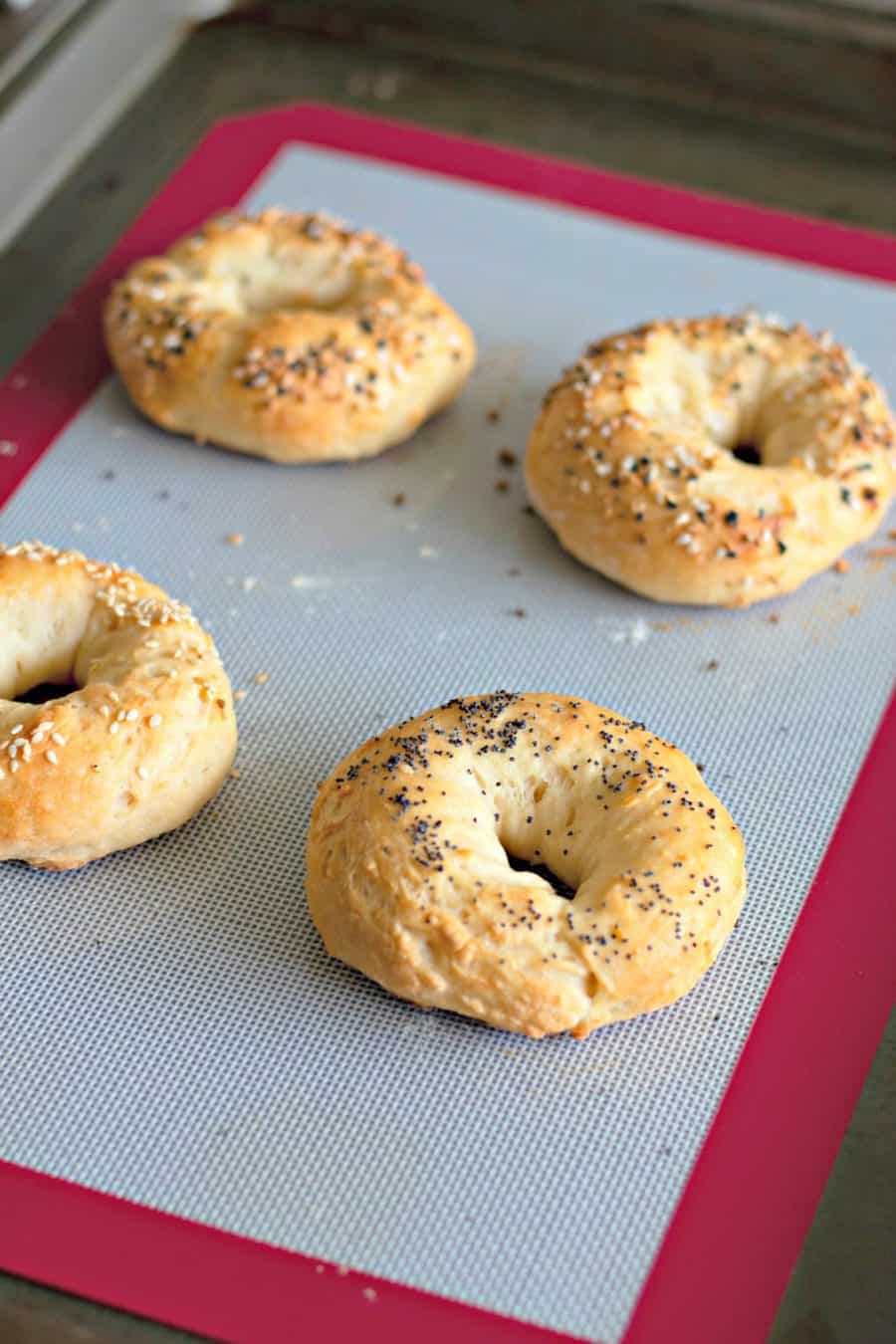 Greek Yogurt Bagels Process 24 The Shirley Journey